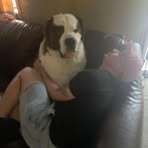 Eric Knies - Facebook