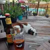 Eric Knies - @eric.knies - TikTok