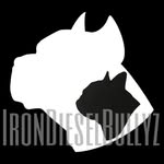 Eric Kober - @irondieselbullyz - Instagram
