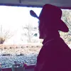 Eric Kohlmeyer - @erickohlmeyer - TikTok