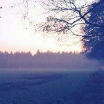 Eric - @kortmanneric - Instagram