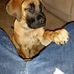 Eric Krause - Facebook