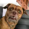 user6094726747747 - @erickrouse - TikTok