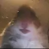 Eric Kunze - @eric_schlecht - TikTok