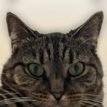 Eric kuperman - @eric.kuperman - Instagram