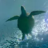 Eric Purple - @eric.purple - TikTok