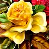Erickus - @erickus - TikTok
