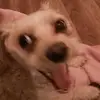 Erickutis - @erickutis - TikTok