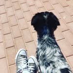 Eric - @eric.kutz - Instagram