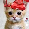 erickweird - @erickweirdtv - TikTok