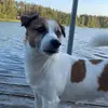Eric - @ericlaaksonen - TikTok