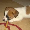 Ericlaaksonen - @xd_burger666 - TikTok