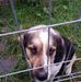 Irek Lasanowski - Facebook