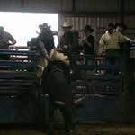 Eric Abernathy - @eric.l.abernathy - Instagram
