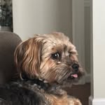 Eric LaBombard - @eric_labombard - Instagram