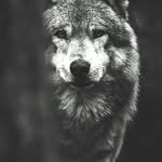 Eric Labuschagne - @ericlabuschagne129 - Instagram