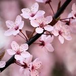 Eric LaFave - @ericlafave - Instagram