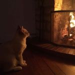 Lafitte eric - @lafitteeric4637 - Instagram