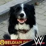 Eric Lafontaine - @lafontaine7121 - Instagram
