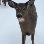 Eric Laforge - @laforge.eric - Instagram
