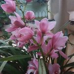 ERICA BRUNE LAGEMANN - @ericabrunelagemann - Instagram