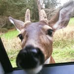 Eric Lahey - @eric_lahey - Instagram