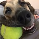 Eric Lahm - @kentucky_fan_5 - Instagram