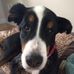 Eric Lajeunesse - Facebook