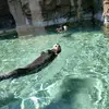 Eric Lam - @eric.lam12 - TikTok