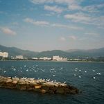 Eric Lam - @ericlam0942 - Instagram