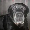 eric.langdon - @eric.langdon - TikTok