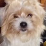Eric Langlois - @eric.langlois.5855 - Instagram