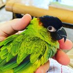 Eric Langlois - @e.langloisca - Instagram