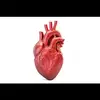 Eric.Langton_ships - @eric.langton_ships - TikTok