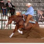 Eric Laporte - @laporteperformancehorses - Instagram