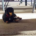 Erik Large - Facebook