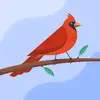 Eric Larose - @eric.larose6 - TikTok