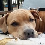 Eric Laster - @eric420215 - Instagram