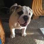 Eric Latham - @eric.latham.54 - Instagram