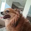 Eric Latham - @eric.latham92 - TikTok