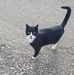 Eric Latta - Facebook