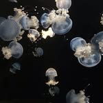 Eric Laubacher - @ericlaubacher - Instagram