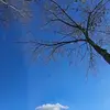 Erik Laurens - @erik.laurens - TikTok