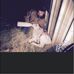 Eric Lawhorn - Facebook