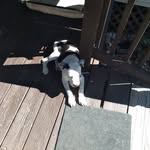 Eric laycock - @eclaycock - Instagram