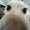 eric le - @ericsle - TikTok