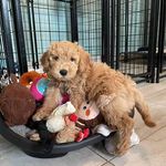 Éric Lebel - @eric.lebel.777 - Instagram