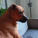 Eric Lionel Alexander Lebel - @erico_lebel - Instagram