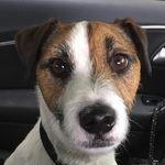Eric Johnston - @eric_lebron_johnston - Instagram