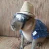 eric lechuga - @ericlechug.a - TikTok